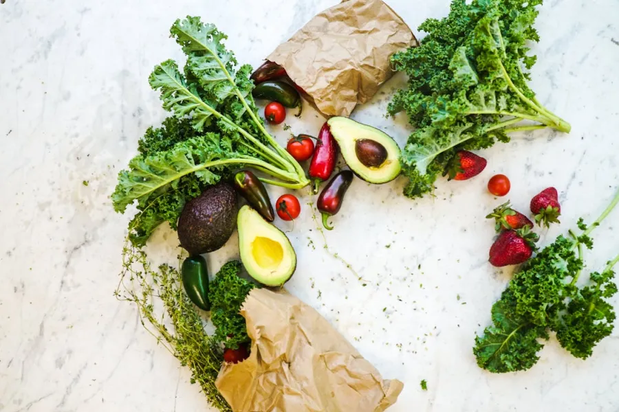 Gut Health and Digestion Guide